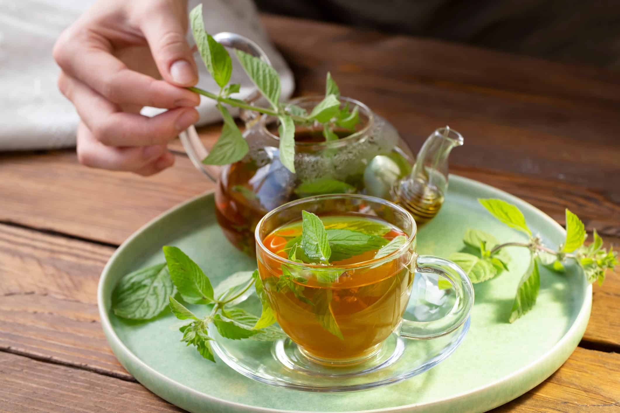 Spearmint Tea