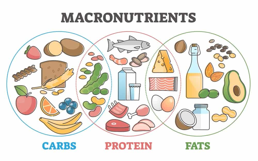 the Best Online Nutritionist