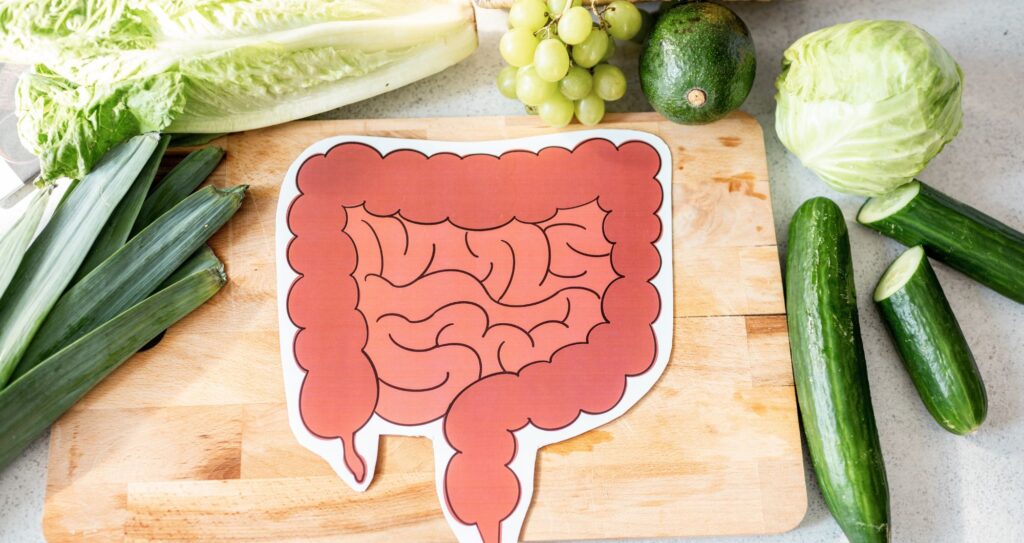 Gut Health